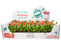 2" Venus Flytrap w/ Display (Box of 50)